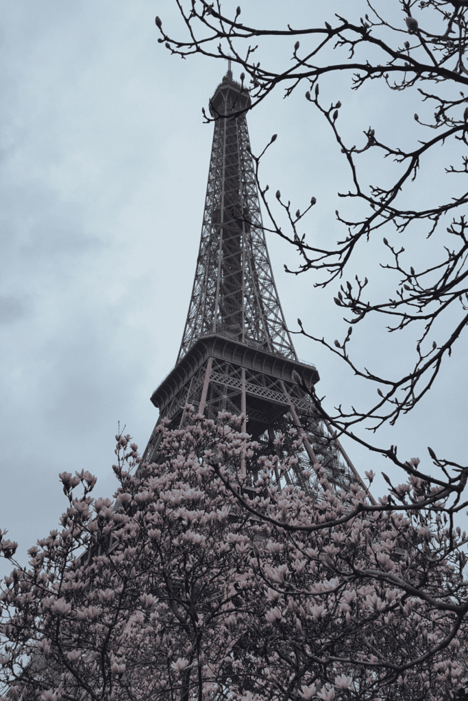 Eiffel Tower Paris