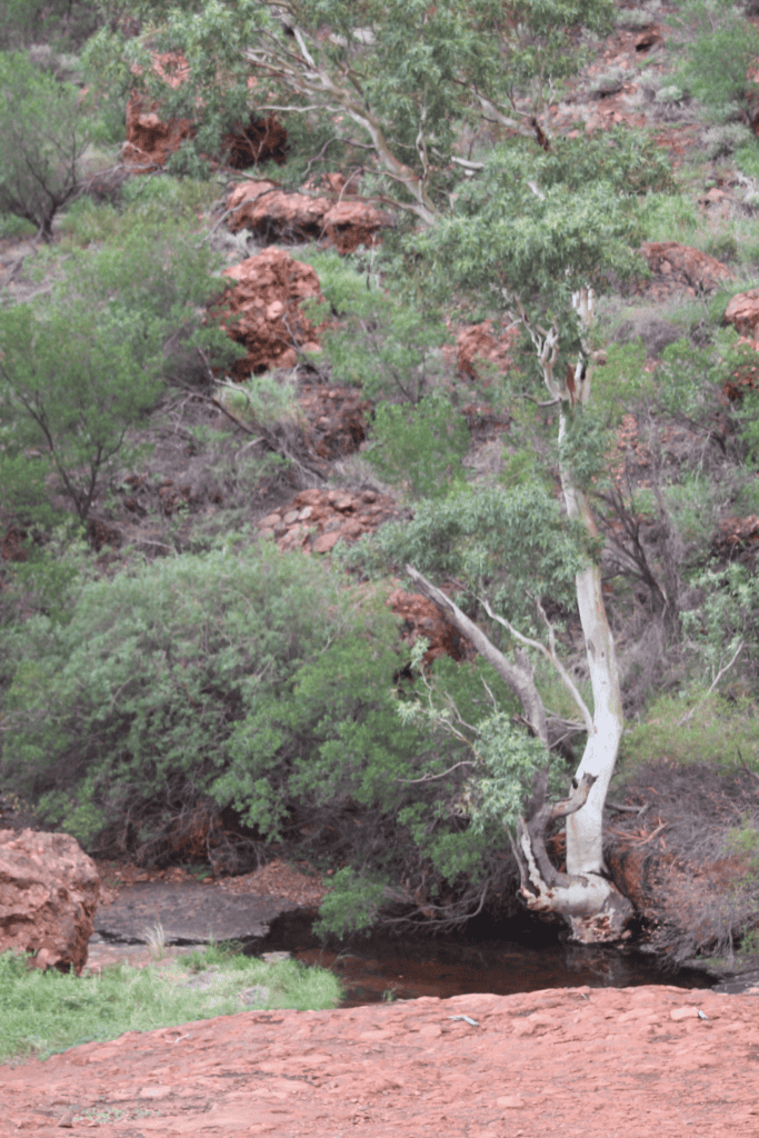 australia national park