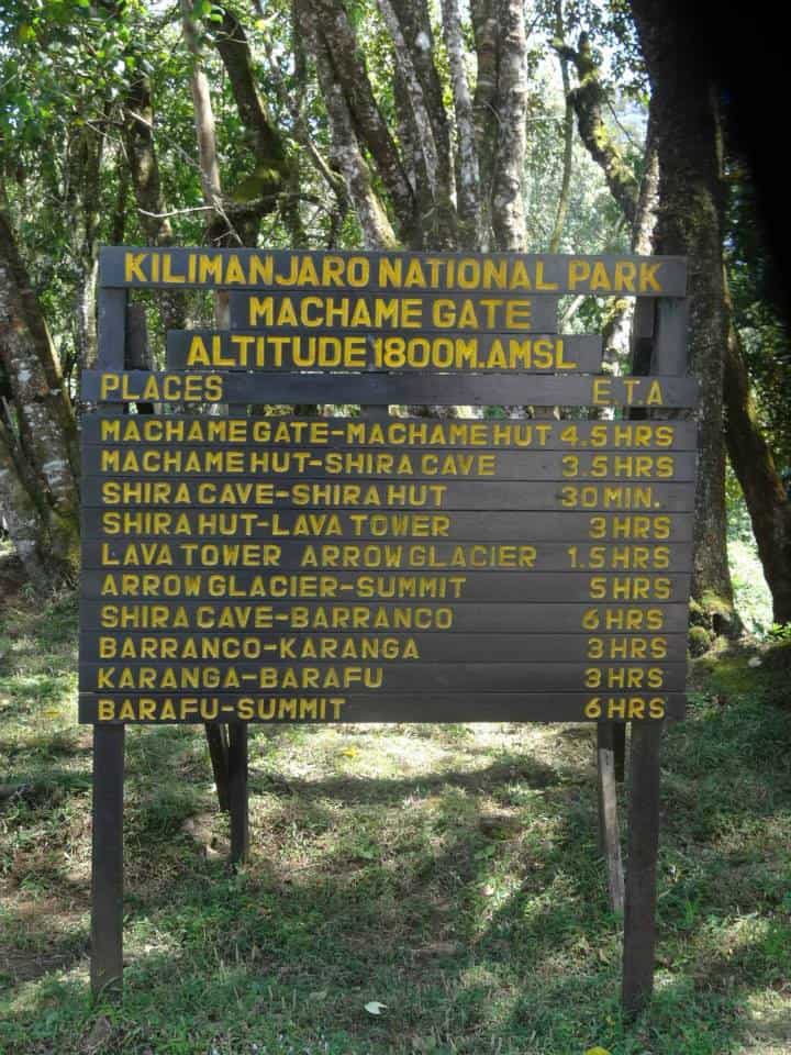 beginner guide kilimanjaro
