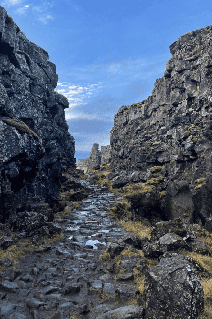 iceland national park