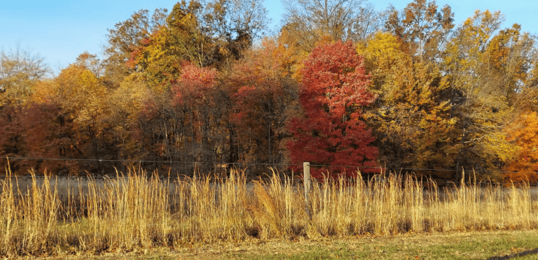 Fall in Pennsylvania