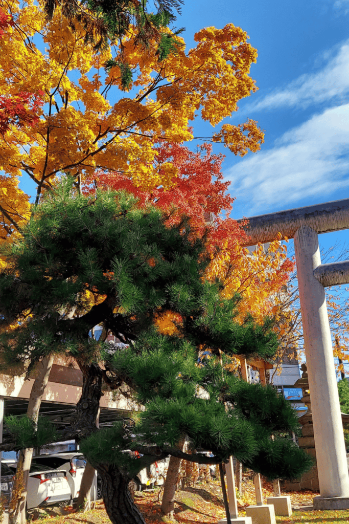 Fall colors Aomori