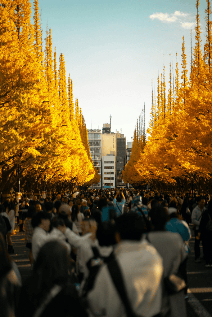 Meiji Jing Gaien in Fall