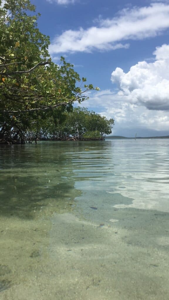 guanica beach