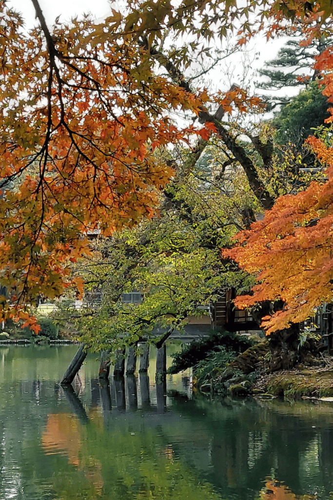 Autumn colors Kenrokuen