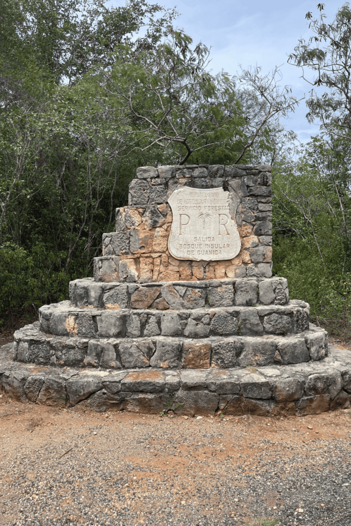 bosque seco de guanica