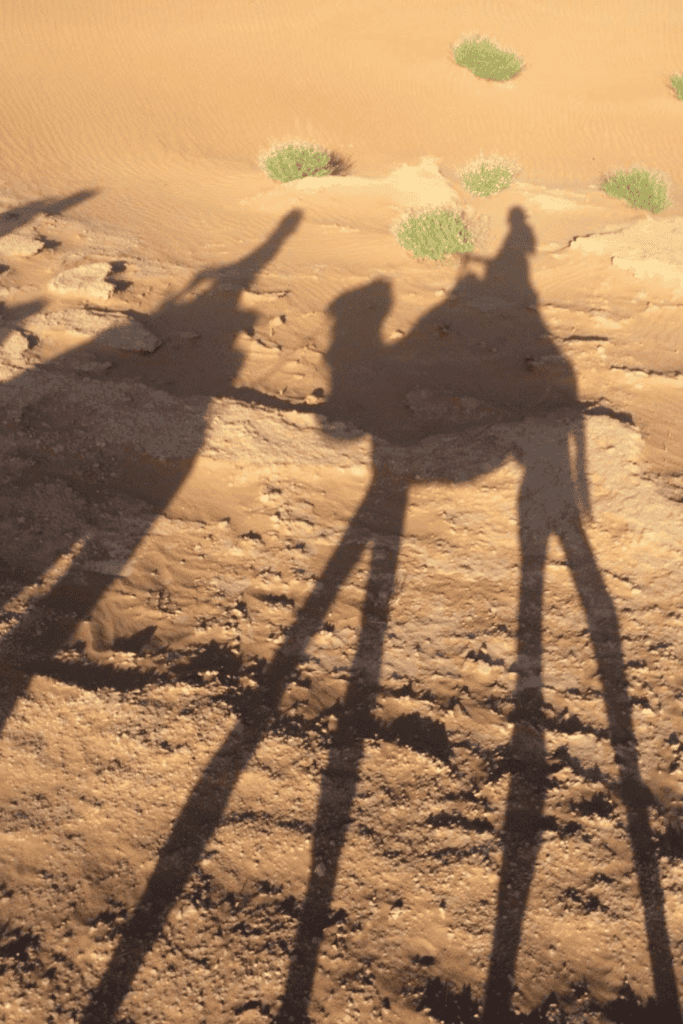 camel ride in Morocco