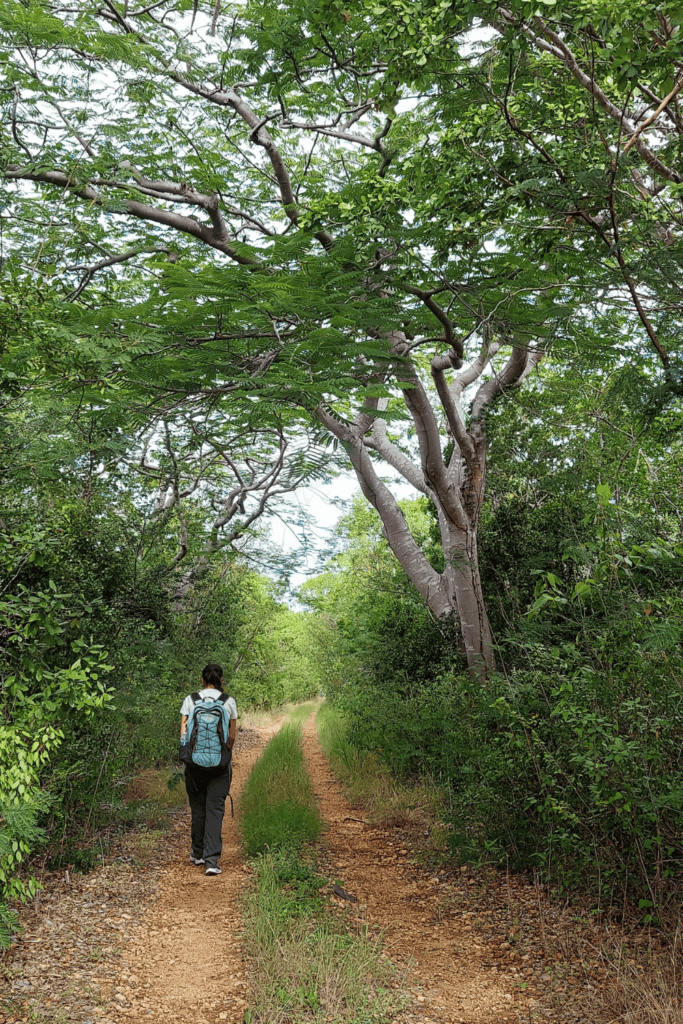 hiking in guanica Puerto Rico