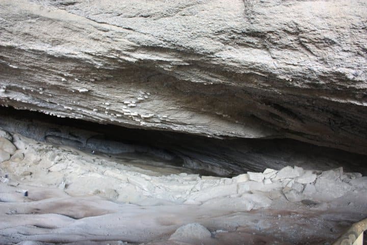 patagonia cueva milodon