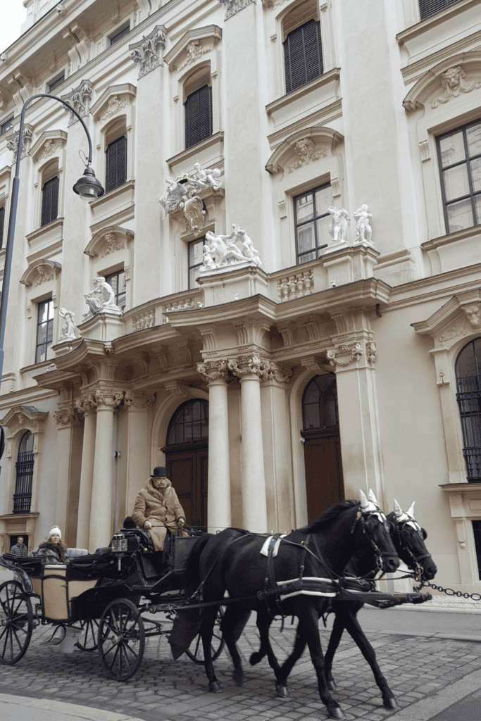 Horse-carriage Vienna