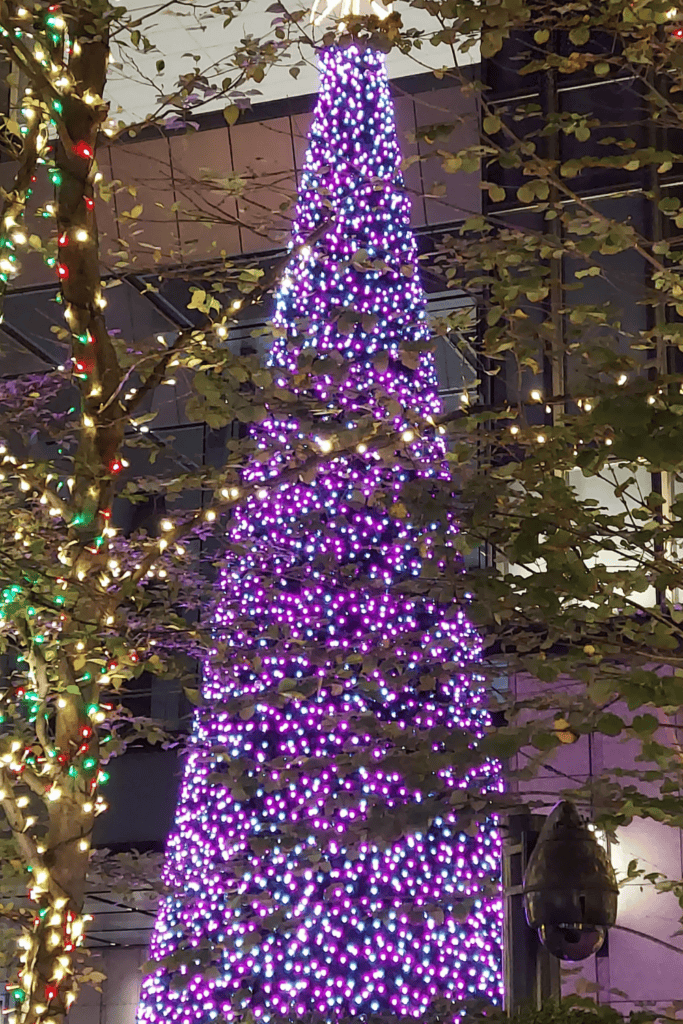 Winter Tokyo Illumination