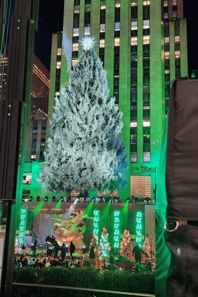 christmas tree in New York City