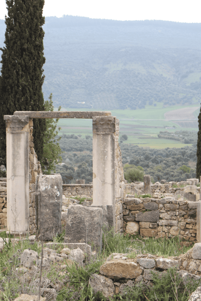 Volubilis Morocco thigs to do