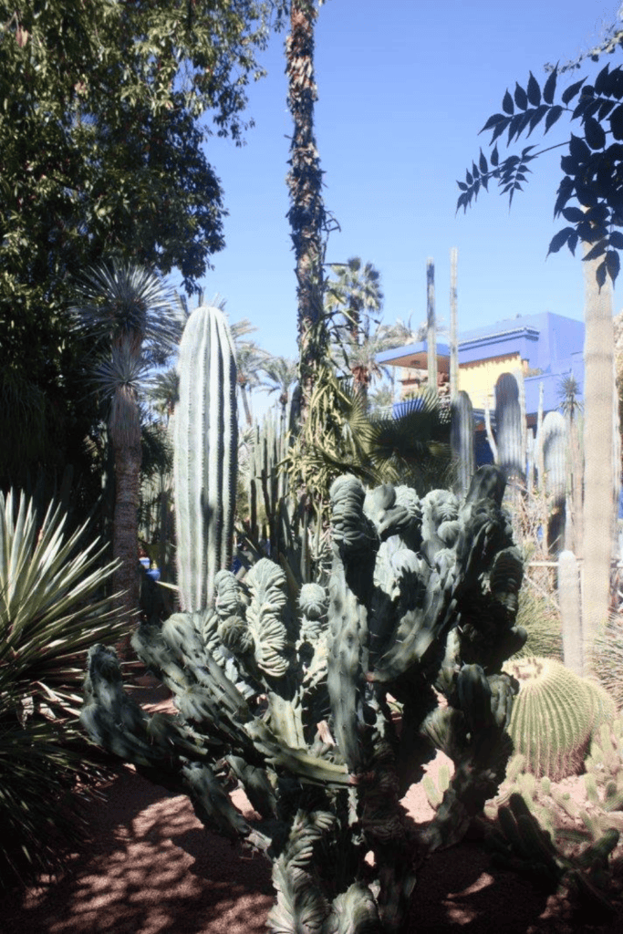 YSL House Marrakech Morocco