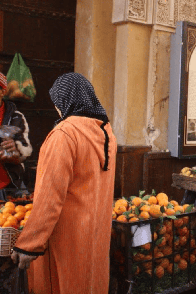 fez morocco travel