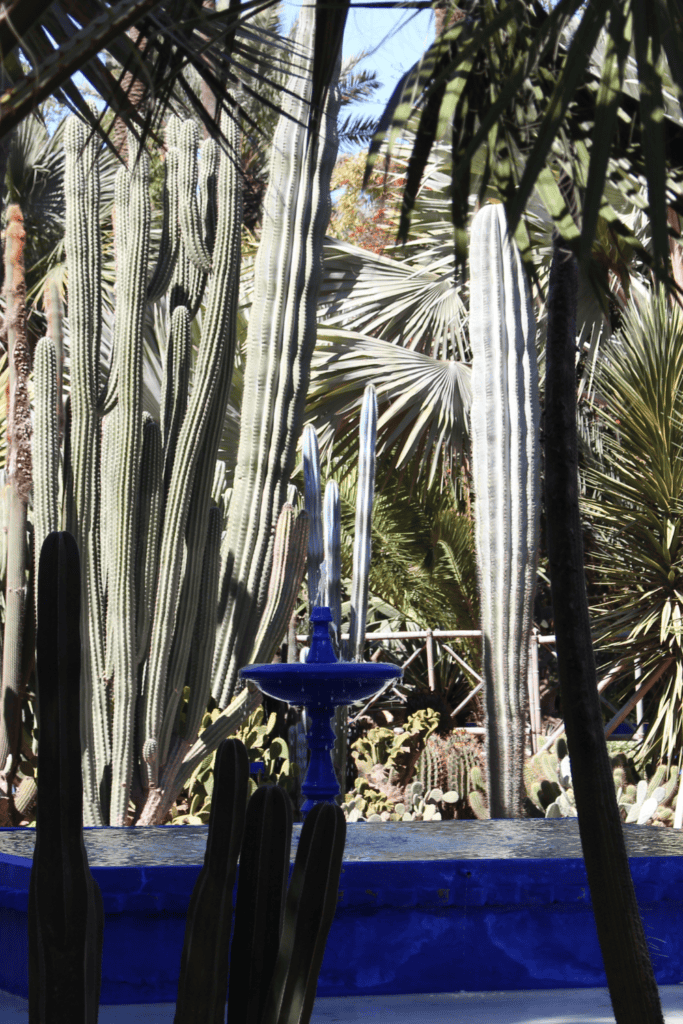 majorelle gardens