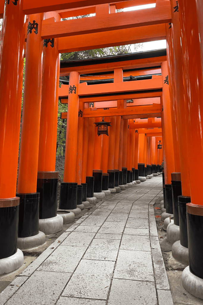 red torii gates