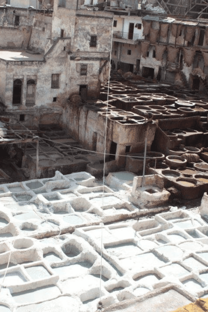 things to do in fez morocco
