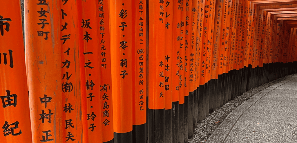 torii gates at fushimi inari shrine