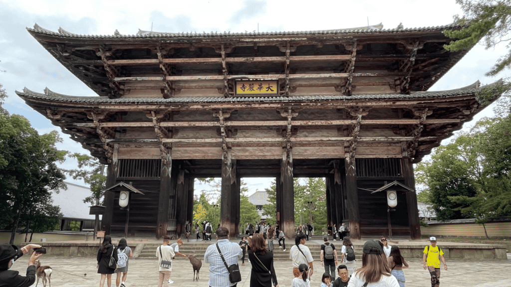 best things to do in nara japan