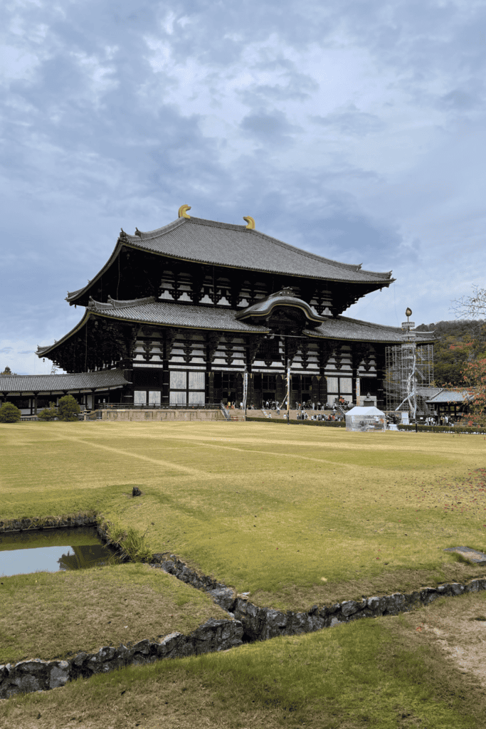 unique things to do in nara japan