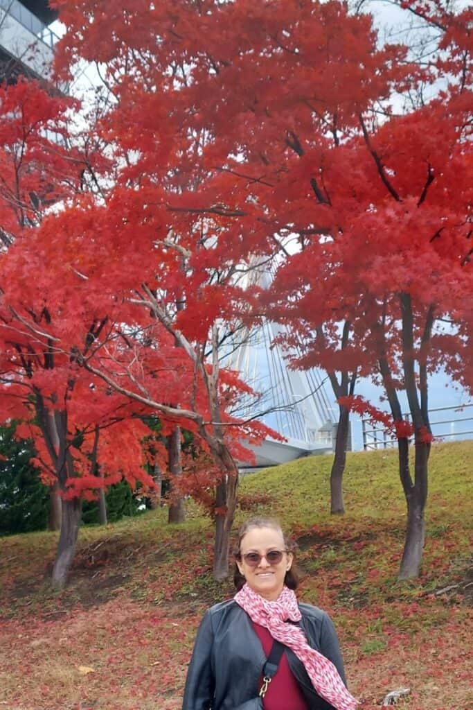 Stunning Fall Colors in Aomori Boardwalk