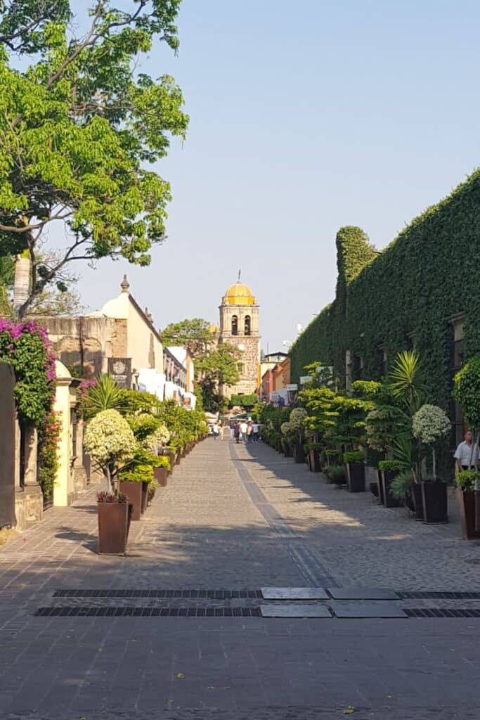 Jose Cuervo Lane