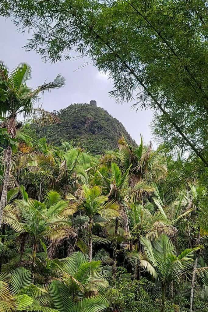 El Yunque Rain Forest