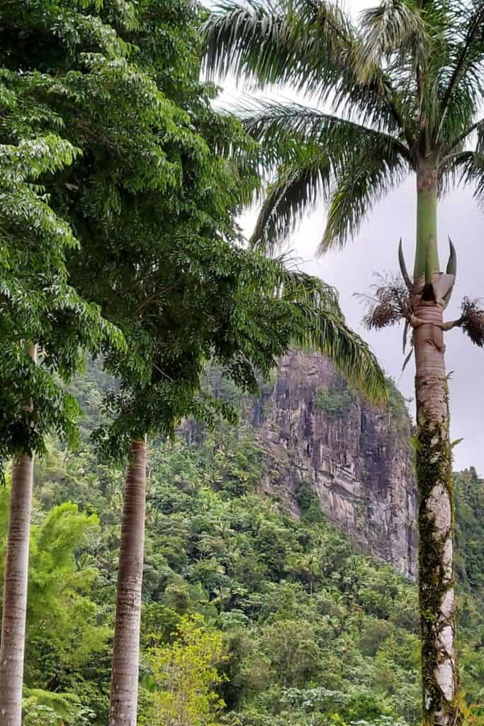 El Yunque Puerto Rico