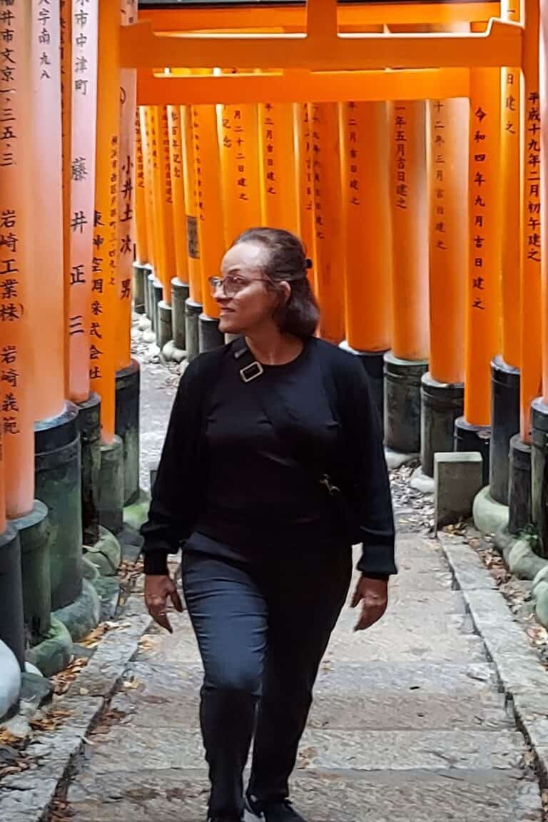 travel to Japan