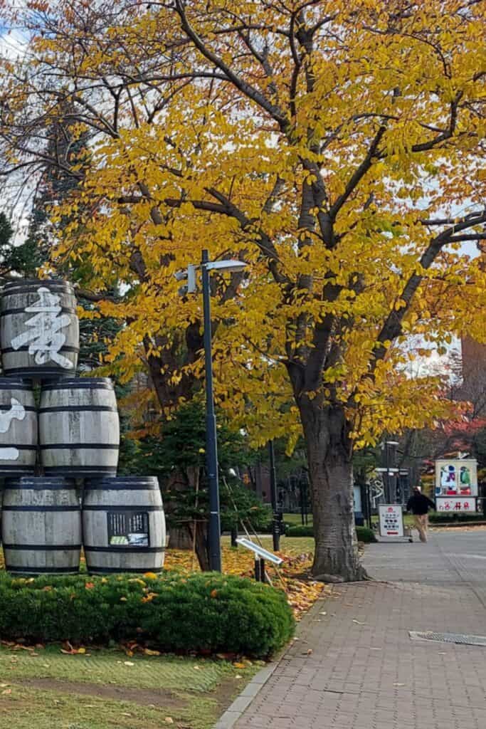 Autumn Sapporo Brewery
