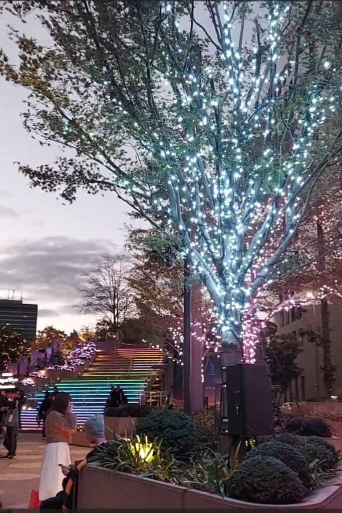 Winter Illuminations Tokyo