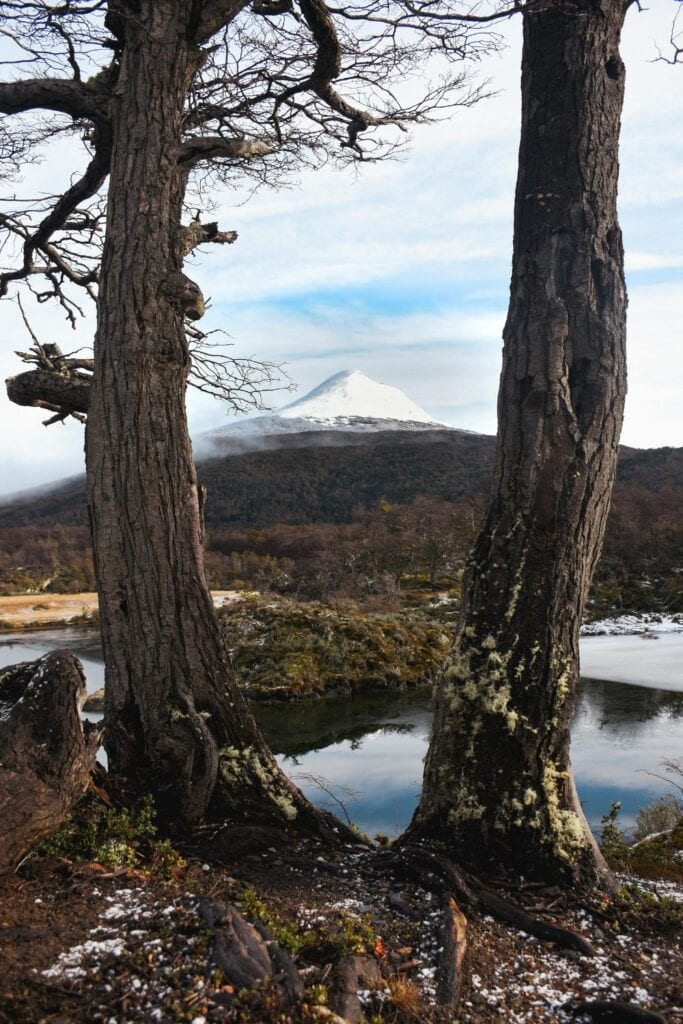 View Tierra del Fuego National Park Ushuaia, Argentina